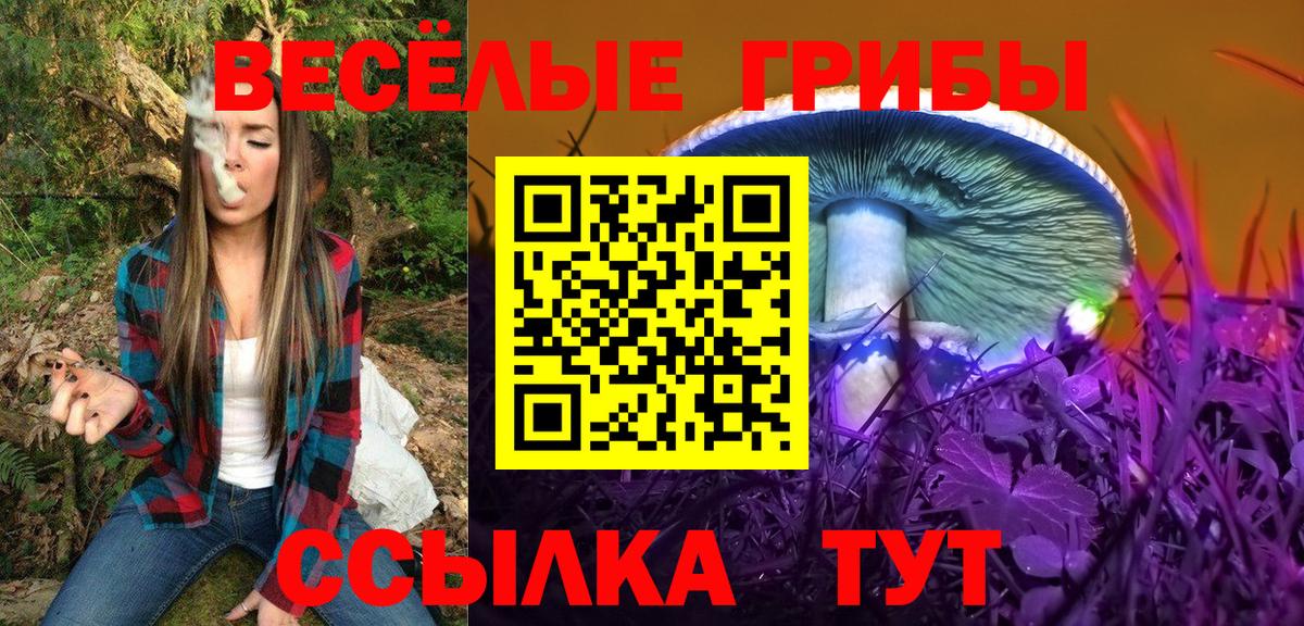 Галлюциногенные грибы Cubensis Семилуки