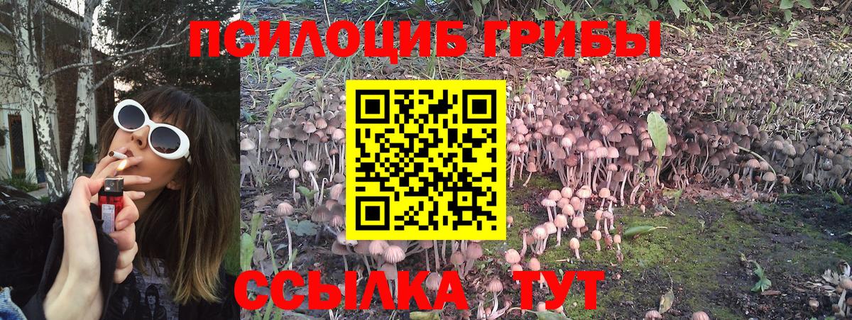 Семилуки  Псилоцибиновые грибы прущие грибы  Псилоцибиновые грибы Cubensis  Вход с VPN 